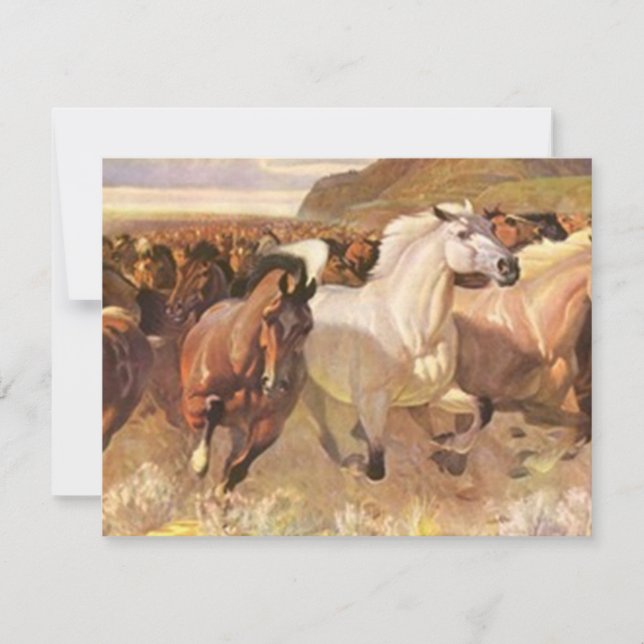 Vi har Flytta Flyttat Horses Mustangs på väg Meddelande (Framsida)