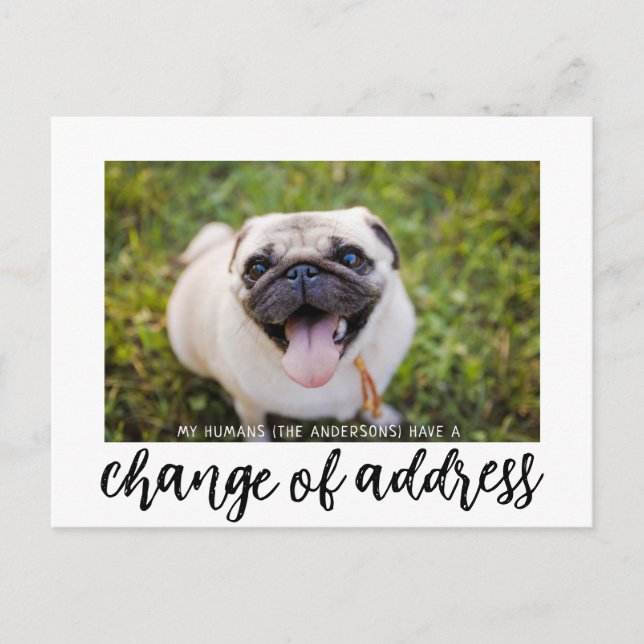 Vi har Flyttat byte av Adress Hund Photo Postcard Vykort (Framsida)