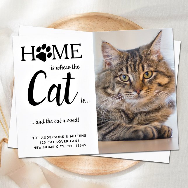 Vi har flyttat Cat Photo Ny adress Pet Flytta Vykort (Skapare uppladdad)