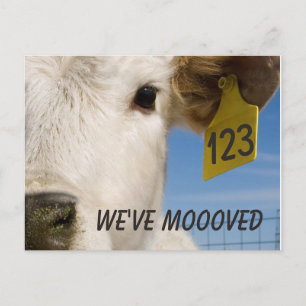 vi har flyttat Cow-Märkre Vykort