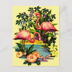 Vi har Flyttat Flamingos Bassäng-side Meddelande