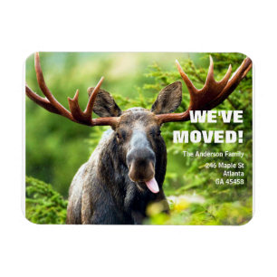Vi har flyttat Flytta av färglös mos Meddelande Magnet