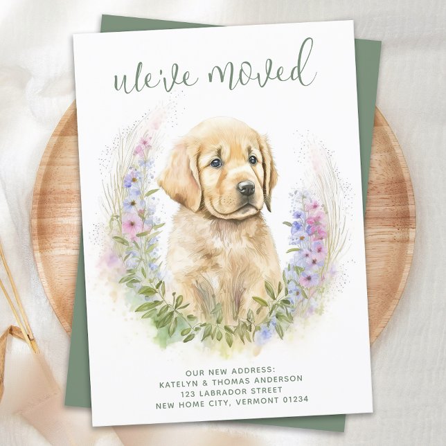 Vi har flyttat Golden Retriever Puppy Hund Flytta Meddelande (Skapare uppladdad)
