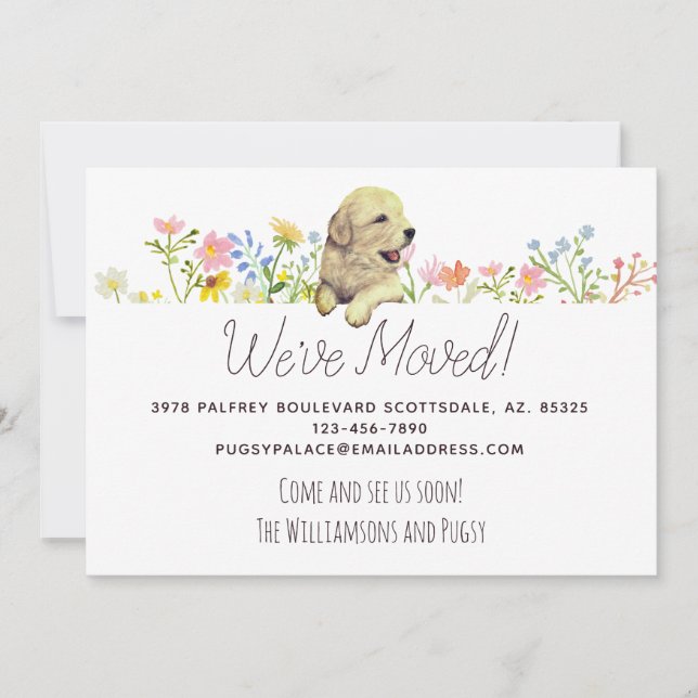 Vi har flyttat! Golden Retriever Puppy-meddelande Meddelande (Framsida)