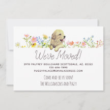 Vi har flyttat! Golden Retriever Puppy-meddelande