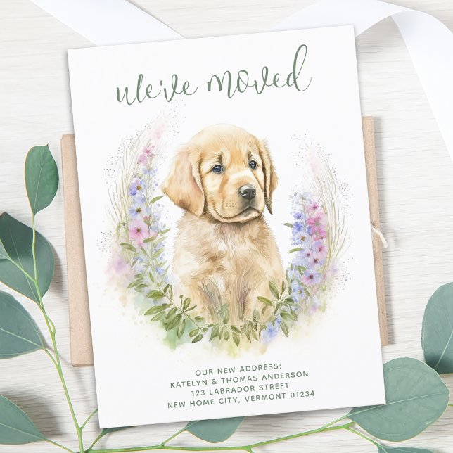 Vi Har Flyttat Golden Retriever Valp Hund Flyttar Meddelande Vykort (Skapare uppladdad)