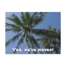 Vi har flyttat - Handflatan Träd på vykort