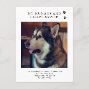 Vi Har Flyttat Hund Foto Ny Adress Hund Flytt Meddelande Vykort