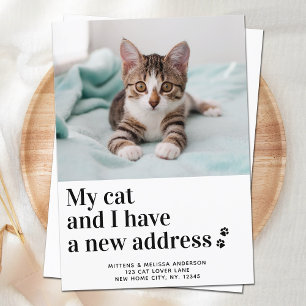 Vi har flyttat My Cat I Ny adress Pet Photo Flytta Meddelande