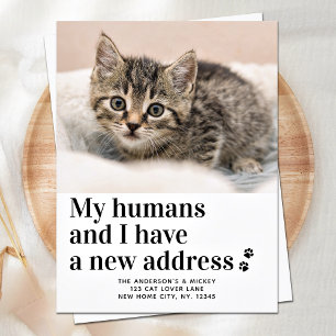 Vi Har Flyttat Ny Adress Katt Bild Husdjur Flyttni Meddelande Vykort