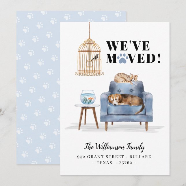 Vi har flyttat nya Hund och kattblått Soffa Meddelande (Fram/baksida)