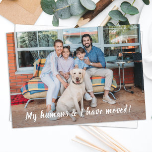 Vi har Flyttat Personlig Pet Photo Flytta Meddelande