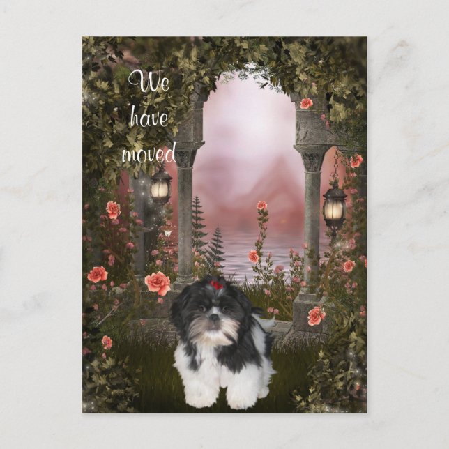 "Vi har flyttat" Shih Tzu vykort (Framsida)