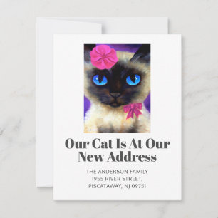 Vi har flyttat Siamese Cat Pet New Home Script Fly Meddelande