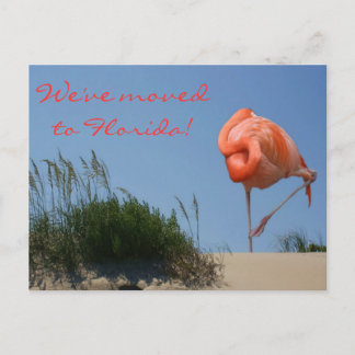 Vi har flyttat till Florida! Strandflamingo vykort