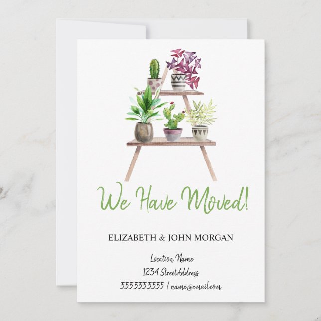 Vi har Flyttat, växter, Arrangemanga (Framsida)