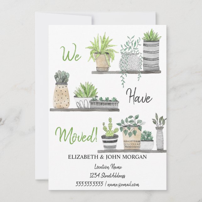 Vi har Flyttat, växter, hyllor (Framsida)