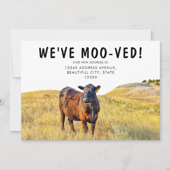 Vi har Moov-ed Cow Flytta Annoucement Meddelande (Framsida)