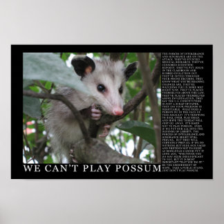 Vi kan inte spela Possum-Poster Poster
