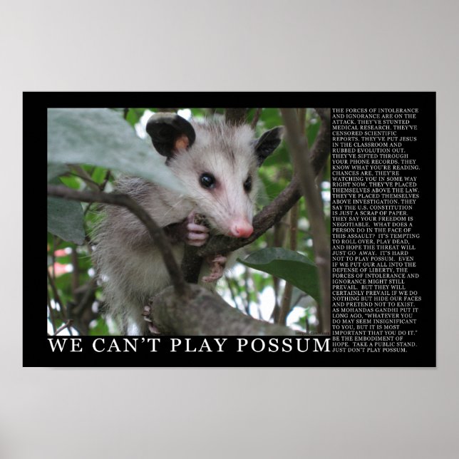 Vi kan inte spela Possum-Poster Poster (Framsidan)