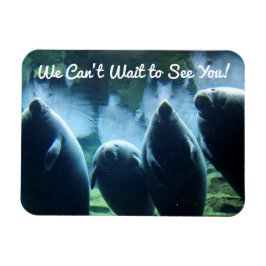 Vi kan inte vänta tills vi ses! Manatees Magnet