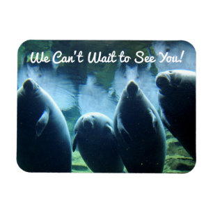 Vi kan inte vänta tills vi ses! Manatees Magnet