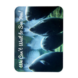 Vi kan inte vänta tills vi ses! Manatees Magnet