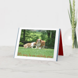 Vi kan vara en osannolik paus kort