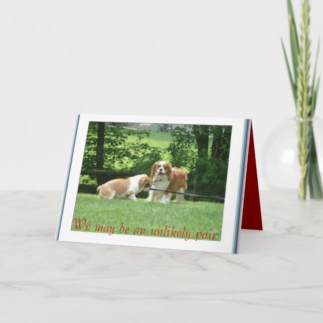 Vi kan vara en osannolik paus kort (Framsida)