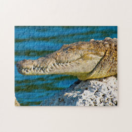 Vi Kärlek Gators i Florida Pussel