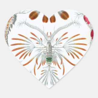 Vi kärlek-klistermärken för vetenskapliga illustra hjärtformat klistermärke