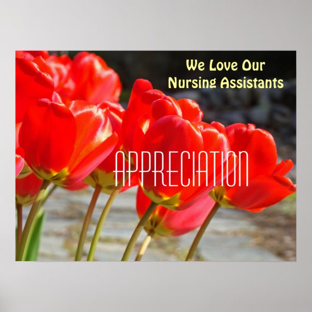 Vi Kärlek våra sjuksköterskor poster uppskattning (Framsidan)