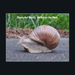 Vi Kommer Sniglarna Långsamt Julkort Vykort<br><div class="desc">Flytten går sakta men säkert</div>