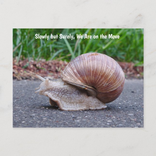 Vi Kommer Sniglarna Långsamt Julkort Vykort (Framsida)