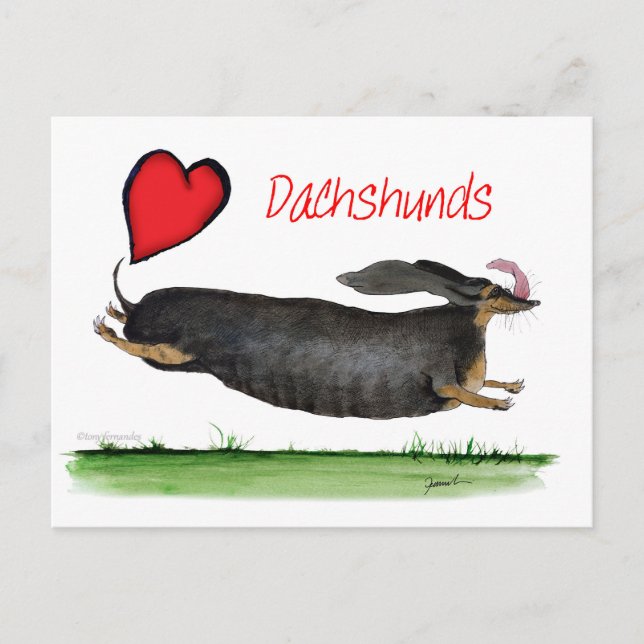 Vi lyv dachshunds från Tony Fernandes Vykort (Framsida)