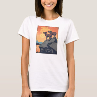 Vi måste skydda liv - grundläggande kvinnor t-shirt