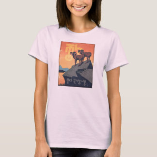 Vi måste skydda livet - kvinnors nöd t shirt