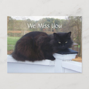 Vi missar dig Kattunge vykort