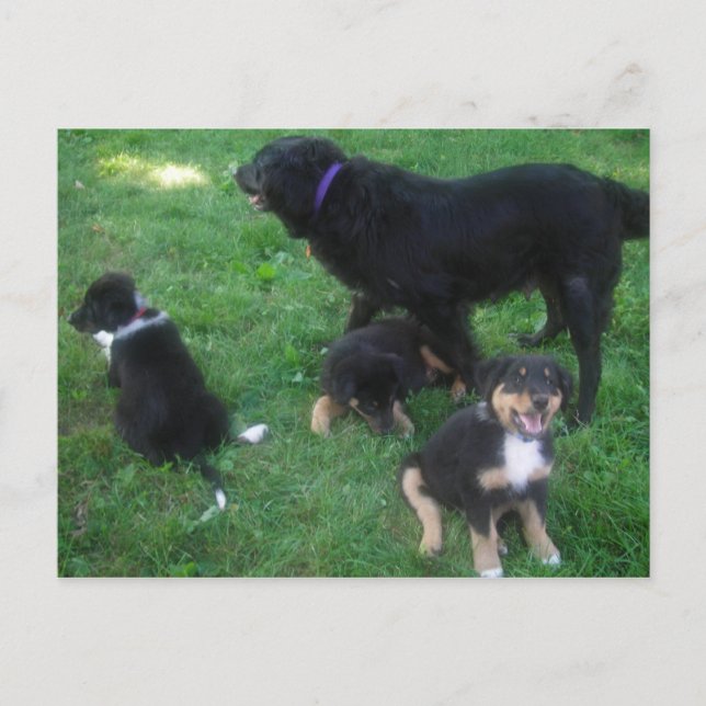 Vi missar dig vykort (Framsida)