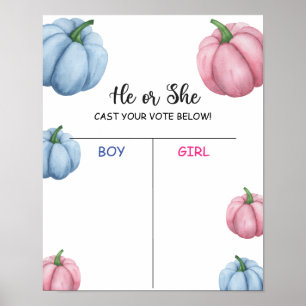 Vi PUMPKIN vet att genderna visar diagram Poster