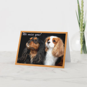 Vi saknar dig Cavalier King Charles Spaniel-kort Kort