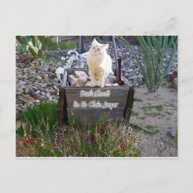 Vi saknar dig Wyatt Vykort (Framsida)