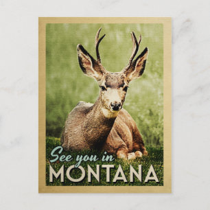 Vi ses i Montana - Stag Hjort Wildlife Vykort