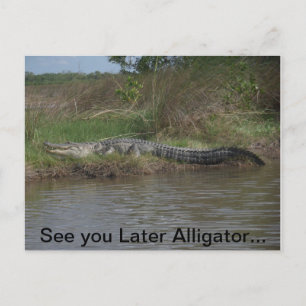 Vi ses senare Alligator Vykort