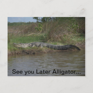 Vi ses senare Alligator Vykort