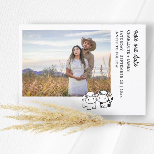 Vi ska säga att jag Moo Land Cow Thrade Spara Datumet (We Will Say I Moo Country Cow Themed Save The Dates from Ricaso. Whimsical cow couple fun cards)