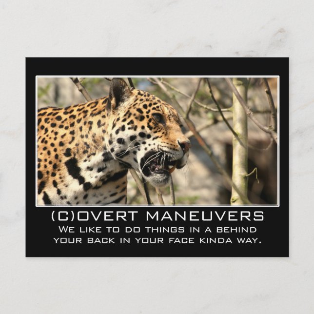 Vi skulle aldrig gömma någonting från er vykort (Framsida)