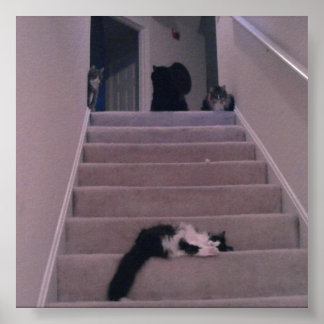 Vi tryckte inte på honom! poster