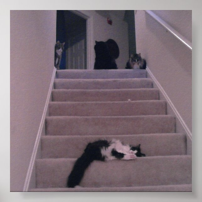 Vi tryckte inte på honom! poster (Framsidan)