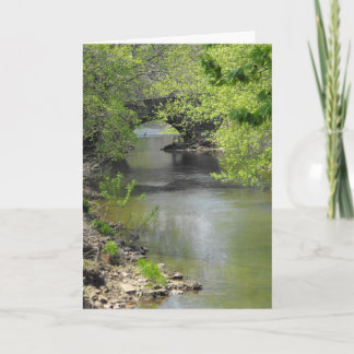 Vi uppskattar ditt offer. ~ 7 tack kort